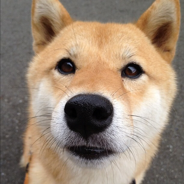 爱游戏GAMING平台-青少年篮球主题公园在多个城市落地，推广全民健身，青少年篮球训练基地