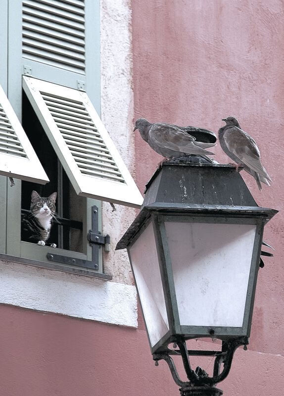 爱游戏在线服务-五大联赛比赛中战术板调整的即时效果探讨,战术板足球