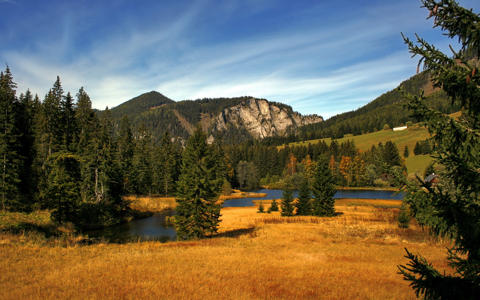 爱游戏入口-俱乐部资金风险大,俱乐部资金风险大怎么办